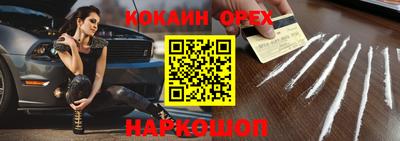 шишки Изобильный