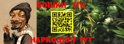 шишки Изобильный
