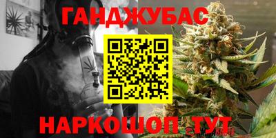 шишки Изобильный
