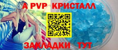 шишки Изобильный