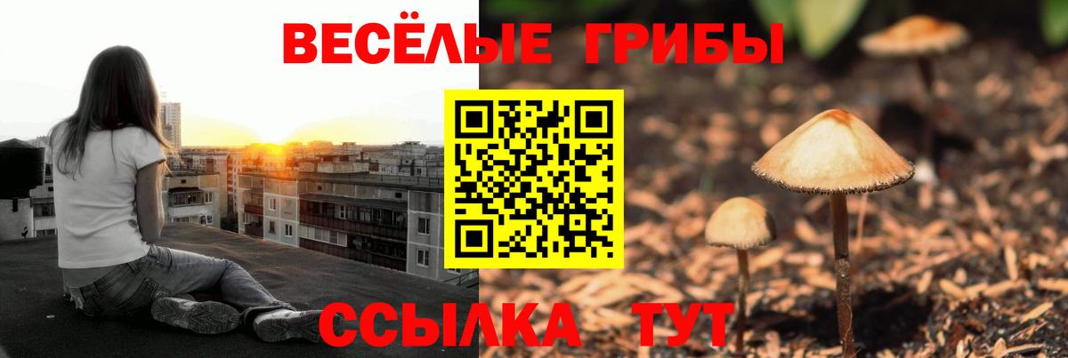 Псилоцибиновые грибы MAGIC MUSHROOMS  Вход с VPN  Луховицы 